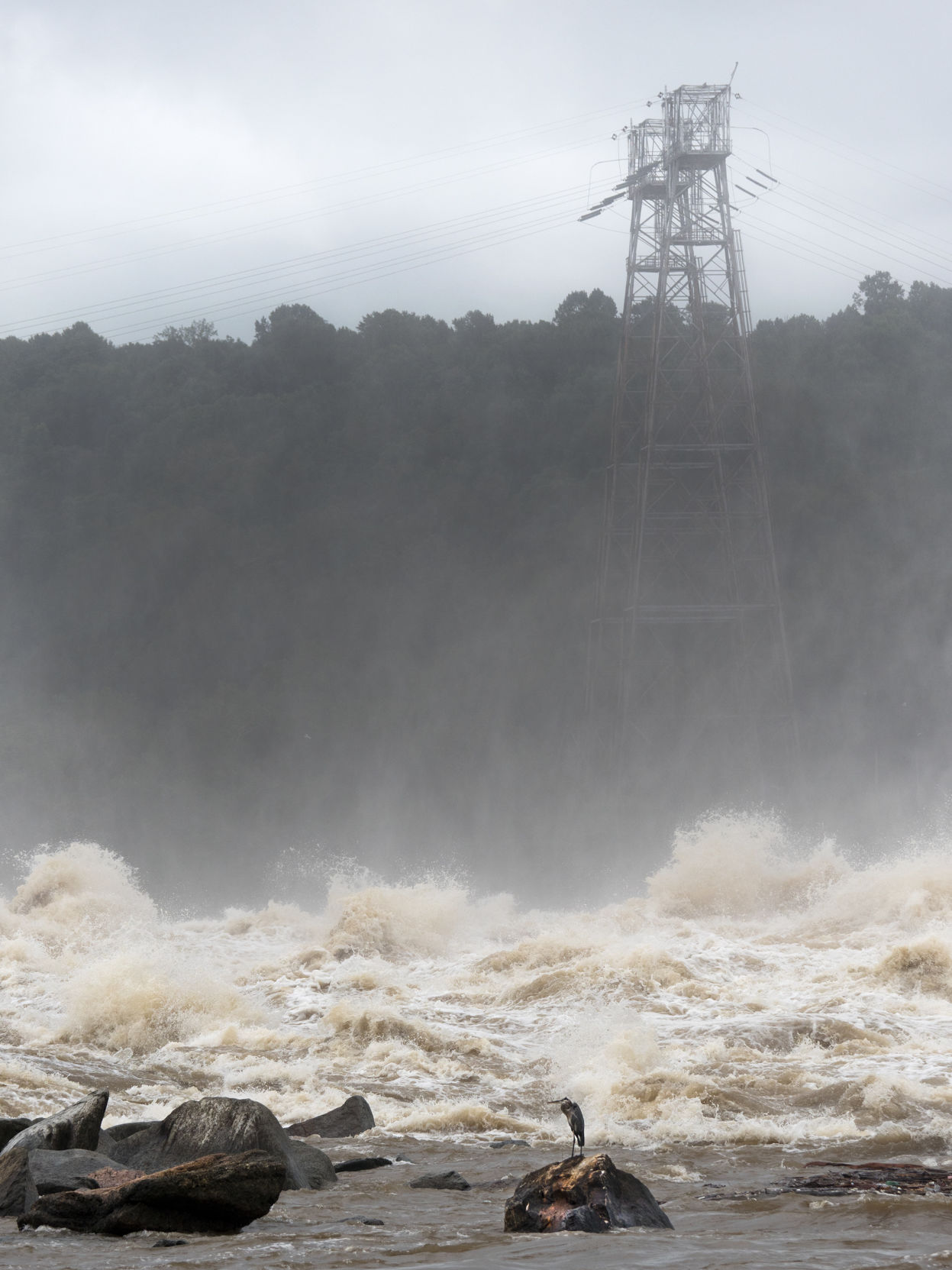 Conowingo Dam with heron in foreground